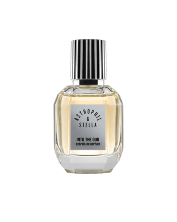 Astrophil & Stella INTO THE OUD Extrait de Parfum - Tito Smalti - Profumo