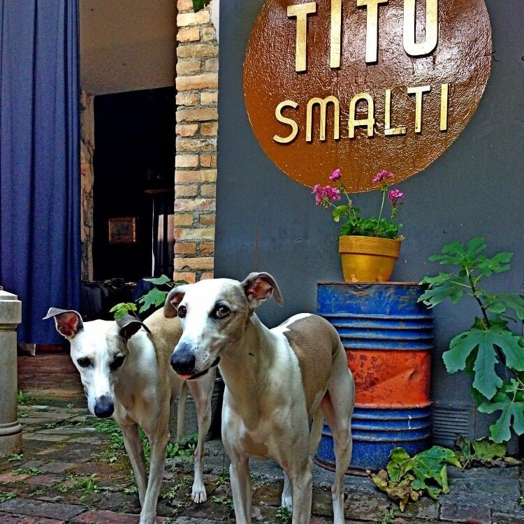 Percorso Olfattivo - Tito Smalti -