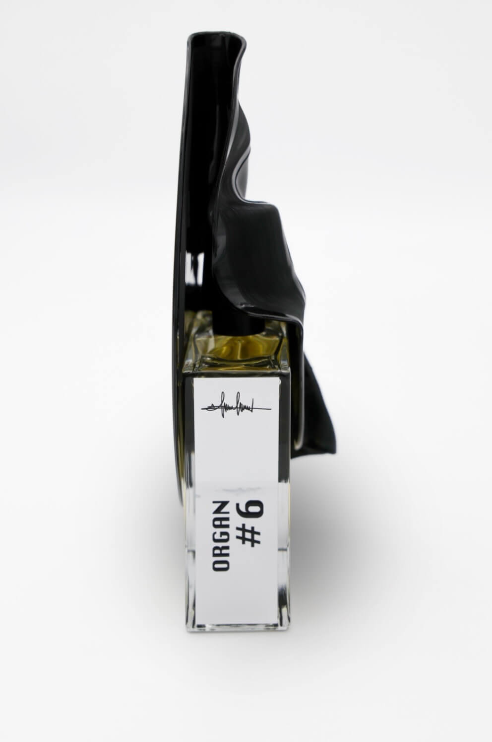 Filippo Sorcinelli Organ #6 Exp