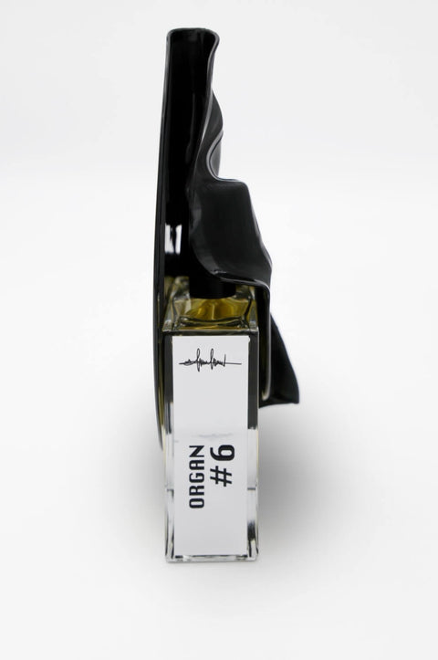 Filippo Sorcinelli Organ #6 Exp
