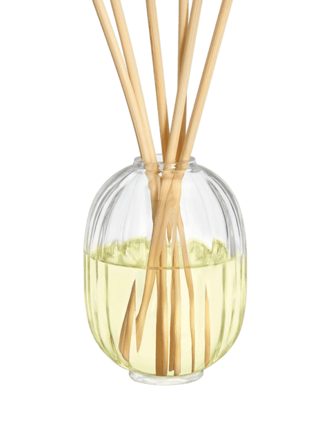 Diptyque 34 Boulevard Saint Germain Diffusore Ambiente - Tito Smalti - Profumatore