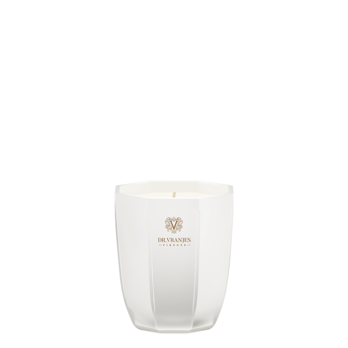 Dr.Vranjes Ginger Lime Candela Profumata - Tito Smalti - Candela